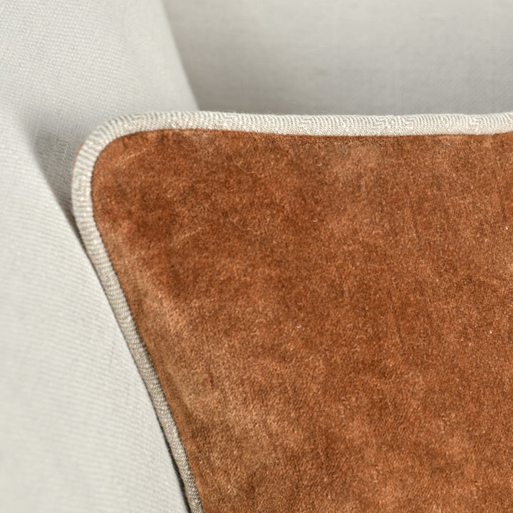 Goodall Pillow Cover & Insert Birch Lane™ Size: 14"H x 20"W Shape: Rectangular