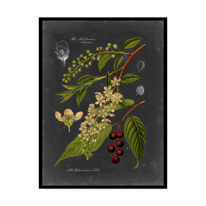 'Midnight Botanical II' Graphic Art Print on Wrapped Canvas Charlton Home® Size: 24" H x 18" W x 2" D