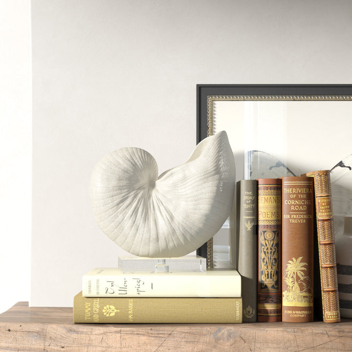 Lakefield Shell Sculpture Birch Lane™