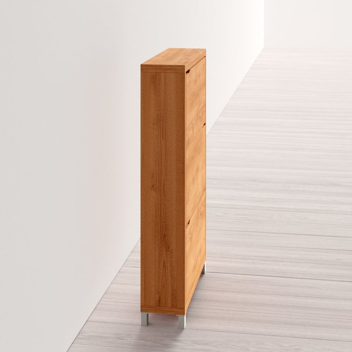 Cade 18 Pair Shoe Storage Cabinet Rebrilliant Finish: Maple Brown