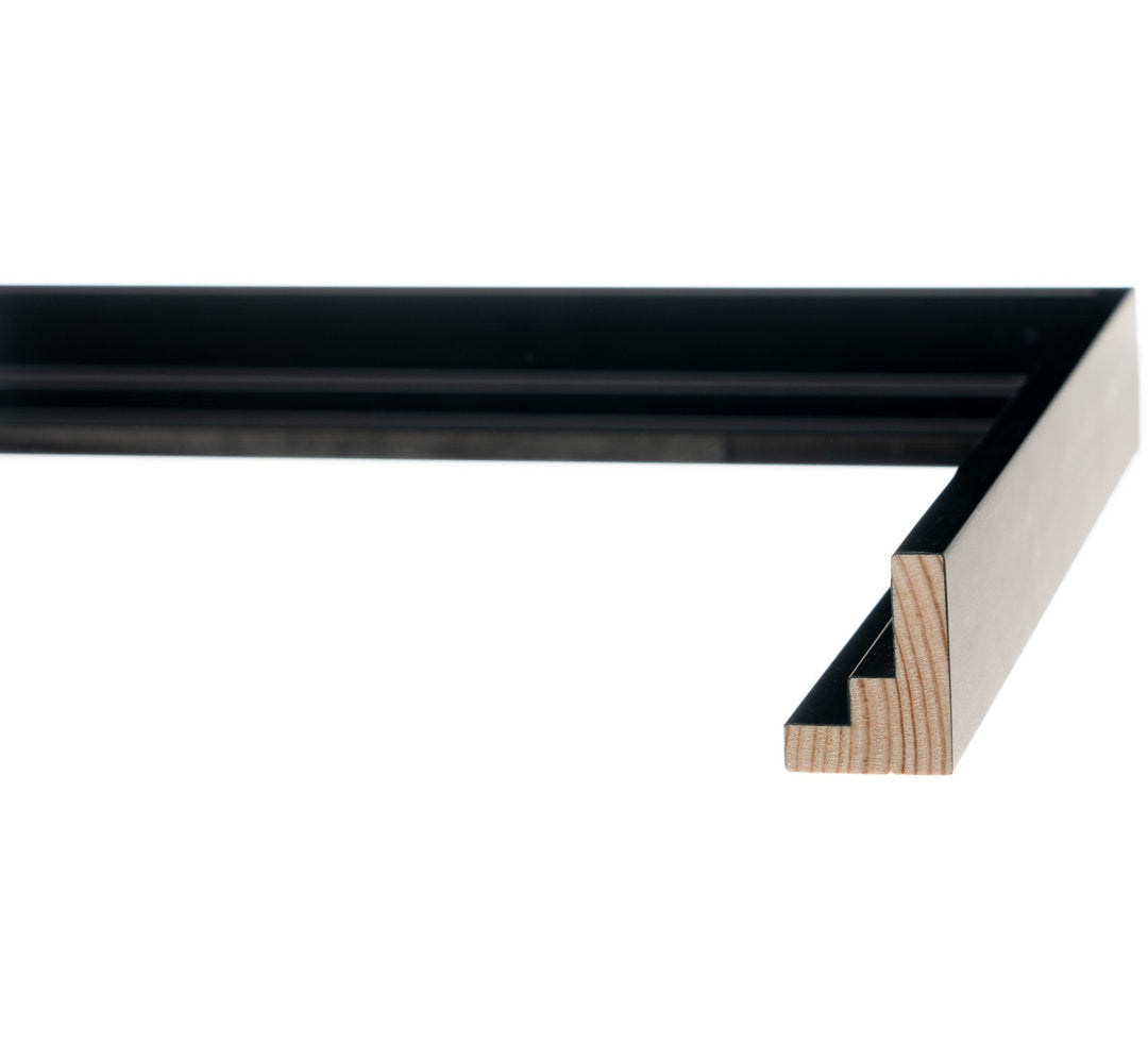 Beach Grass II Beachcrest Home™ Size: 8" H x 12" W x 1.25" D Format: Black Floater Framed, Mat Included: No