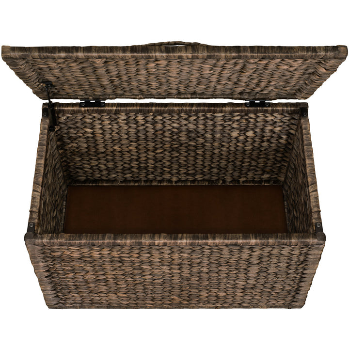 Ved Heavy-duty Water Hyacinth Wicker Storage Trunk with Metal Frame Highland Dunes Color: Light Brown Wash
