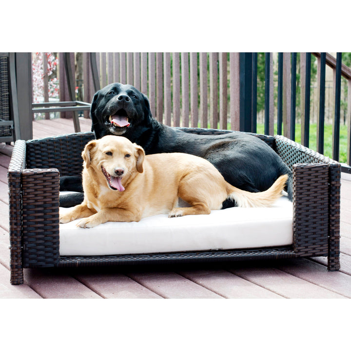 Cristobal Rattan Rectangular Dog Sofa Archie & Oscar™ Size: Large (38.5" W x 26.5" D x 15" H)