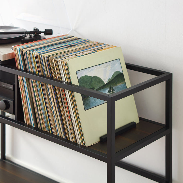 Record Storage Console Media Shelve 17 Stories