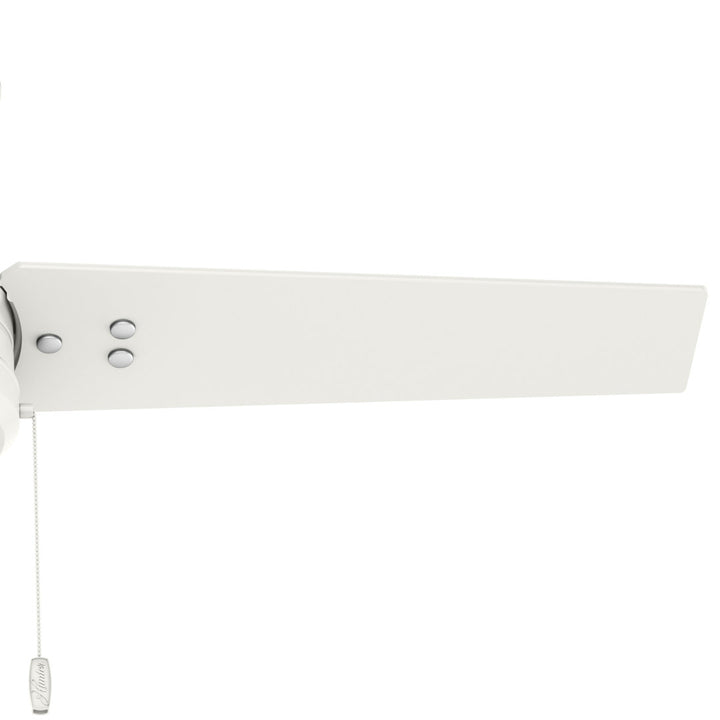 44" Cassius 3 - Blade Outdoor Standard Ceiling Fan with Pull Chain Hunter Fan Finish: Fresh White