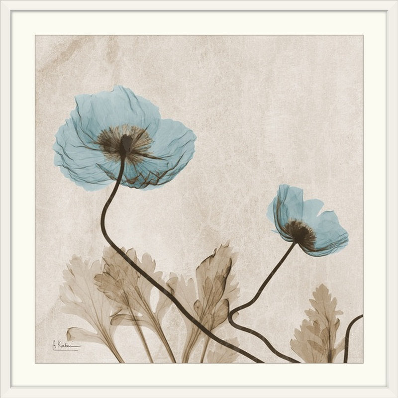 Manigault 'Poppy X-Ray by Kiranjit Photographic Print Wade Logan® Size: 32" H x 32" W x 1" D Format: White Framed