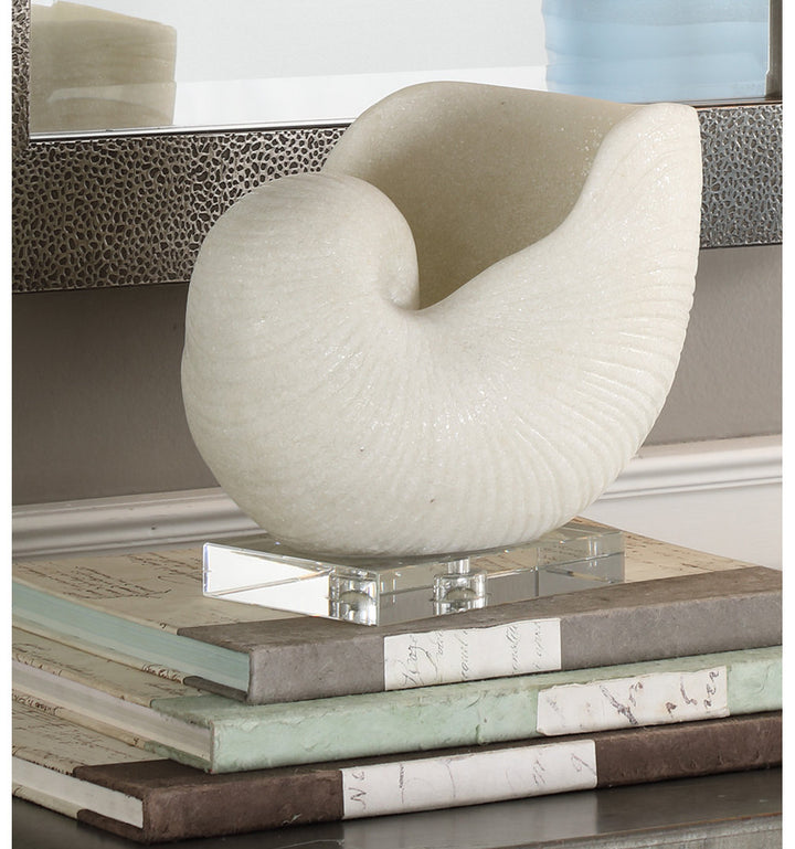 Lakefield Shell Sculpture Birch Lane™