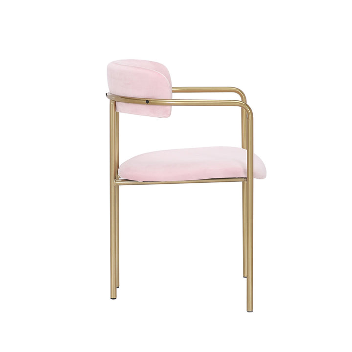 Chestertown Gold Chrome Dining Chair (Set of 2) Willa Arlo™ Interiors Upholstery Color: Pink
