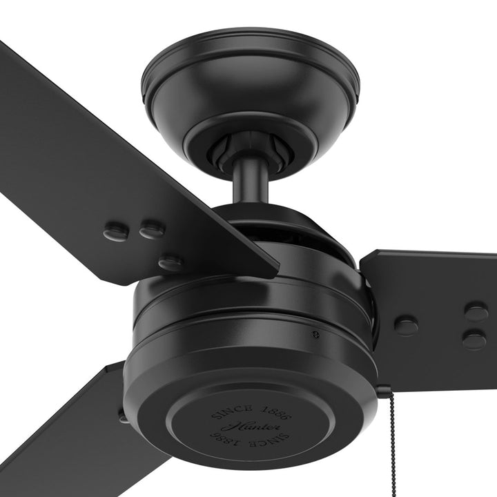44" Cassius 3 - Blade Outdoor Standard Ceiling Fan with Pull Chain Hunter Fan Finish: Matte Black