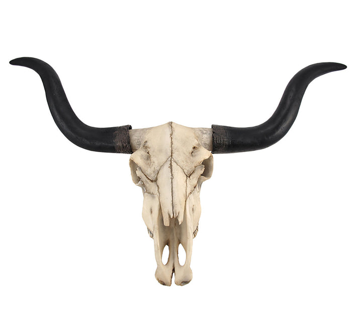 Longhorn Cow Skull Wall Décor Foundry Select