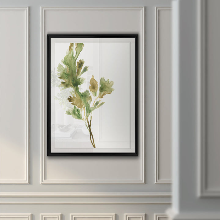 Earthtone Herbs I' Painting on Canvas Gracie Oaks Size: 30.5" H x 42.5" W x 1.5" D Format: Black Framed