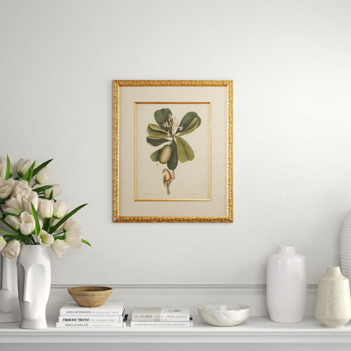 Catesby Bird and Botanical III - Picture Frame Graphic Art Chelsea House