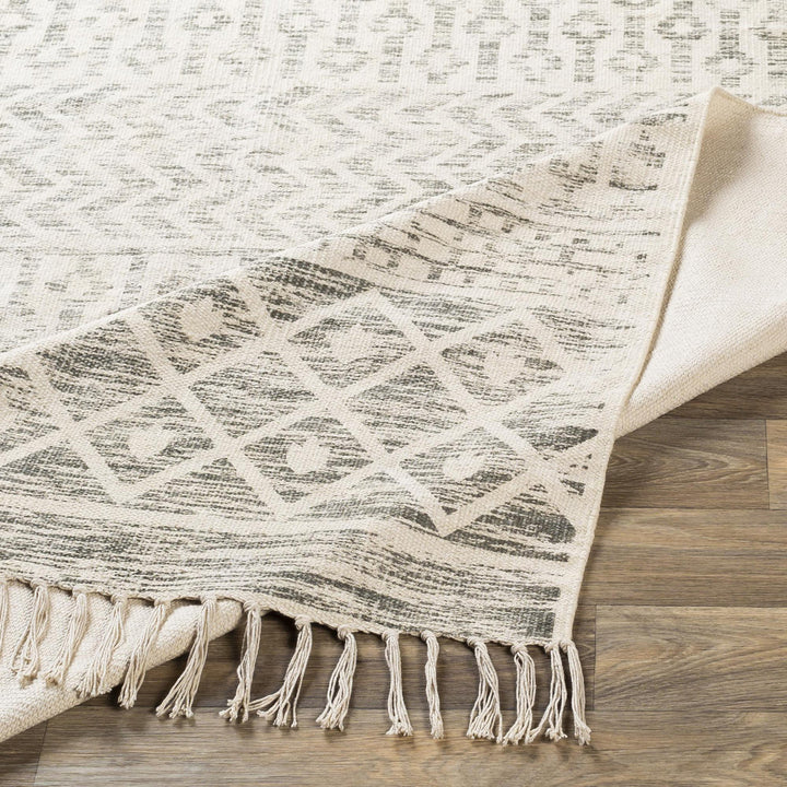 Emmalyn Southwestern Handwoven Cotton Area Rug Langley Street® Rug Size: Rectangle 8' x 10'