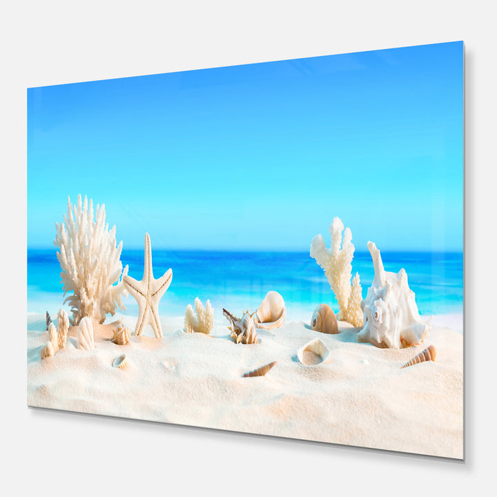 Risa Seashells on Tropical Beach' Graphic Art Highland Dunes Size: 23" H x 23" W x 1" D Format: Metal