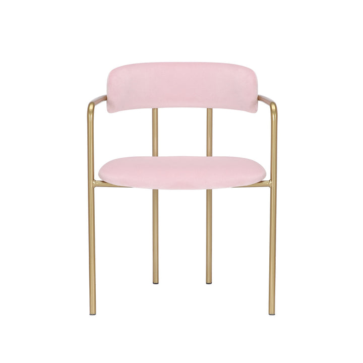 Chestertown Gold Chrome Dining Chair (Set of 2) Willa Arlo™ Interiors Upholstery Color: Pink