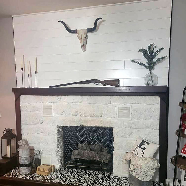 Longhorn Cow Skull Wall Décor Foundry Select