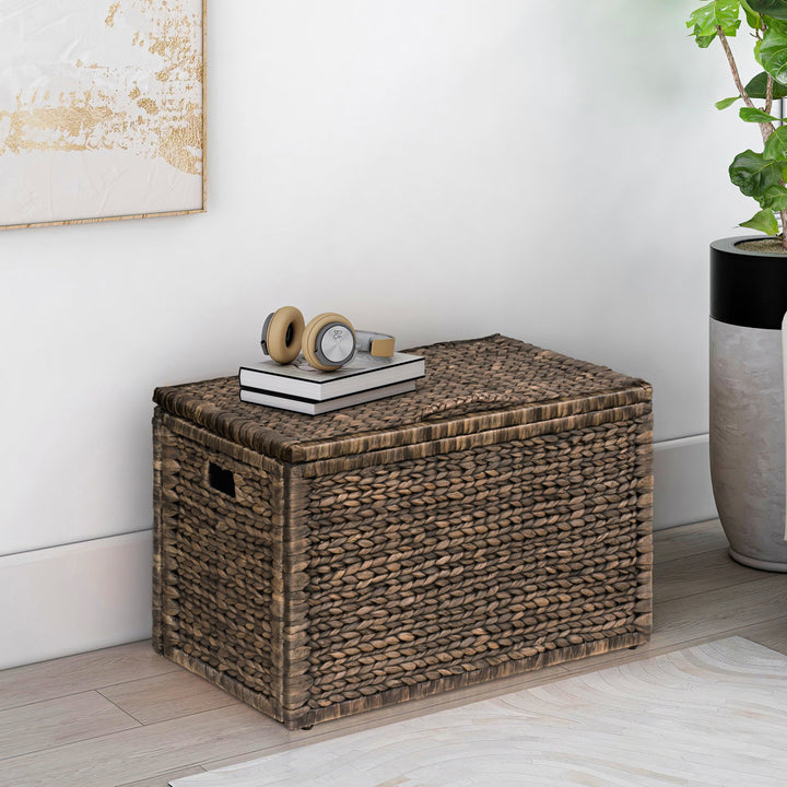 Ved Heavy-duty Water Hyacinth Wicker Storage Trunk with Metal Frame Highland Dunes Color: Light Brown Wash