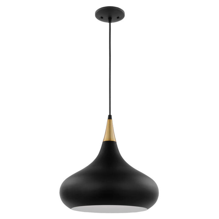 Braylon 1 - Light Single Teardrop Pendant Mercury Row® Size: 14" H x 14" W x 14" D Finish: Matte Black/Burnished Brass