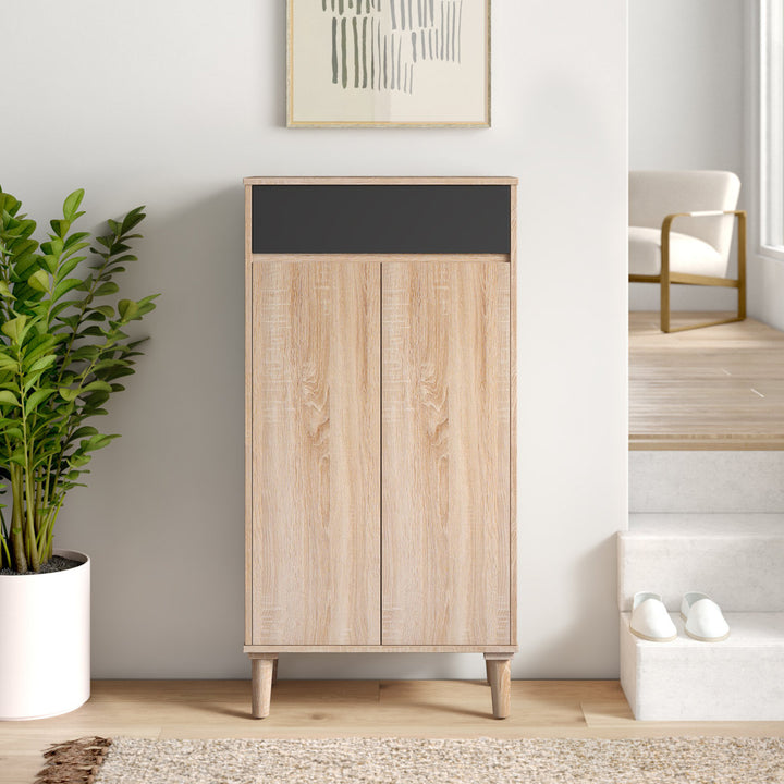 2-Door Wood Entryway 10 Pair Shoe Storage Cabinet Hokku Designs