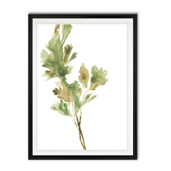 Earthtone Herbs I' Painting on Canvas Gracie Oaks Size: 30.5" H x 42.5" W x 1.5" D Format: Black Framed
