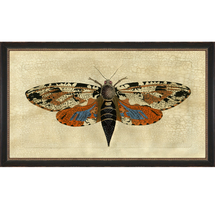 Crackled Moth 5 - Picture Frame Painting on Paper Wendover Art Group