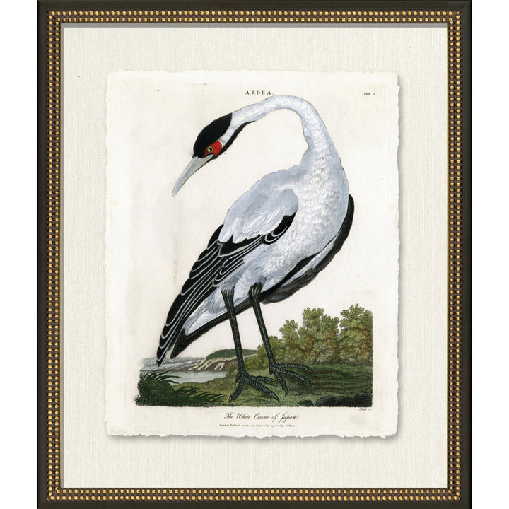 Medium White Crane - Picture Frame Painting on Paper Wendover Art Group