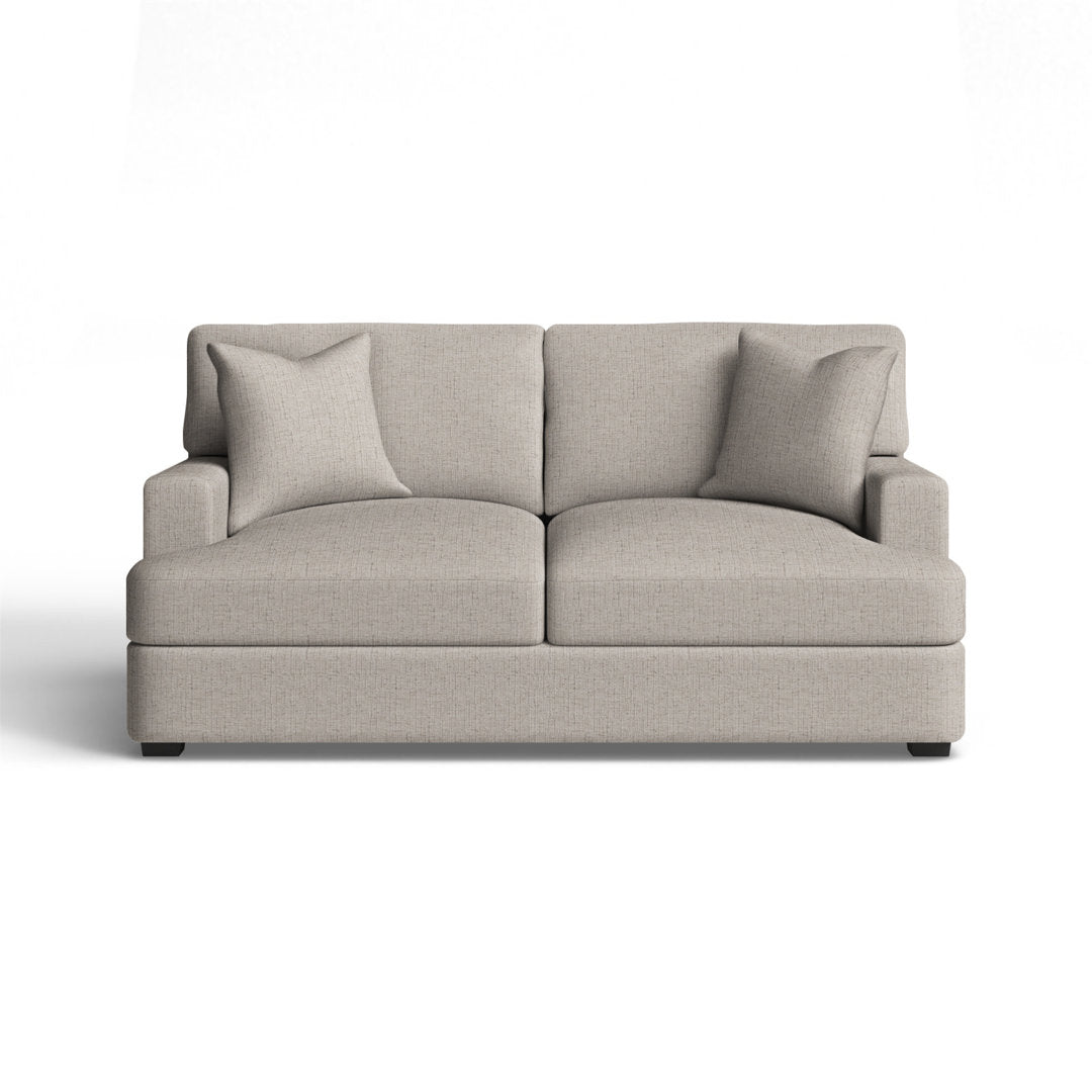 Emilio 65" Recessed Arm Loveseat With Reversible Cushions Wayfair Custom Upholstery™ Fabric: Indy Dove Performance