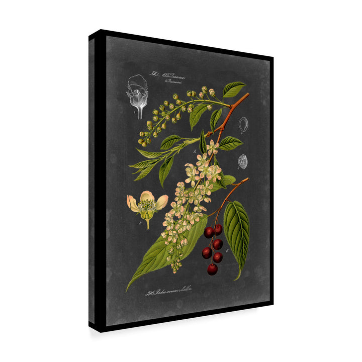 'Midnight Botanical II' Graphic Art Print on Wrapped Canvas Charlton Home® Size: 24" H x 18" W x 2" D