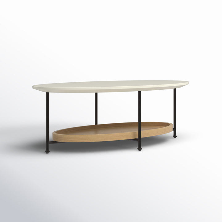 Beaumont 4 Legs Coffee Table with Storage Wade Logan®