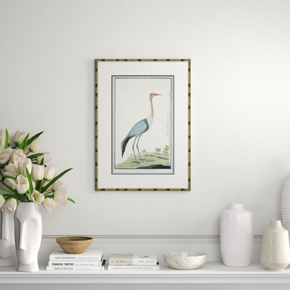 Bird Drawings, Circa 1777' - Picture Frame Painting on Paper Soicher Marin