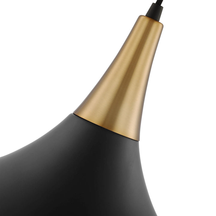 Braylon 1 - Light Single Teardrop Pendant Mercury Row® Size: 14" H x 14" W x 14" D Finish: Matte Black/Burnished Brass