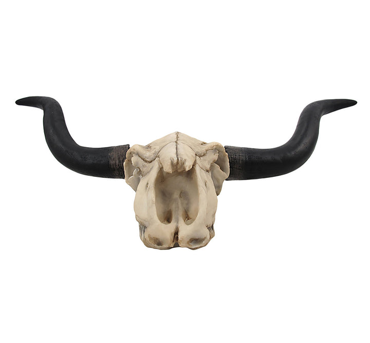 Longhorn Cow Skull Wall Décor Foundry Select