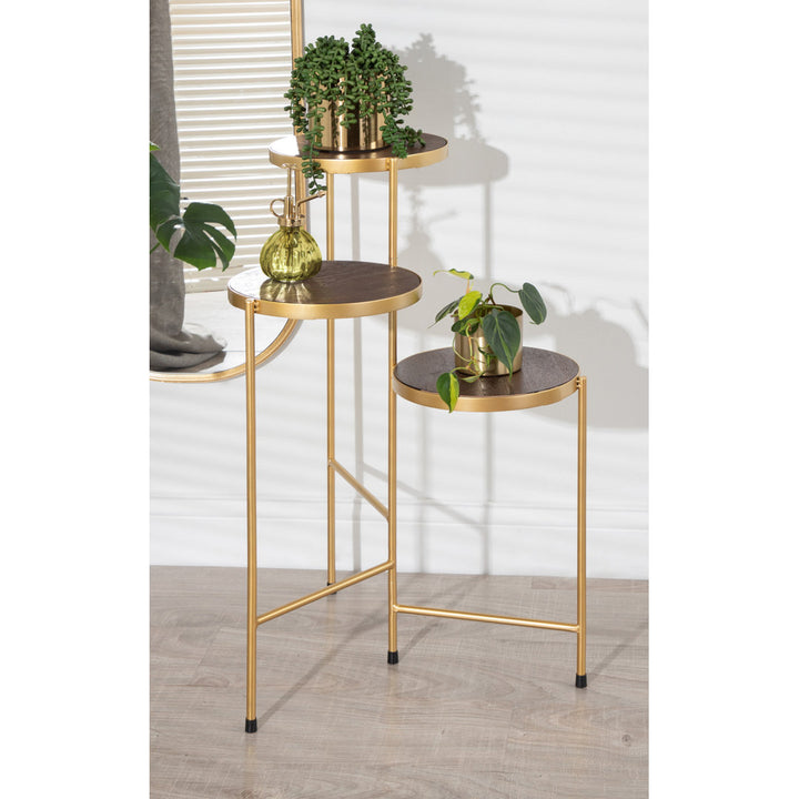 Logan Square Round Multi-Tiered Solid Wood Plant Stand Mercury Row® Color: Walnut Brown