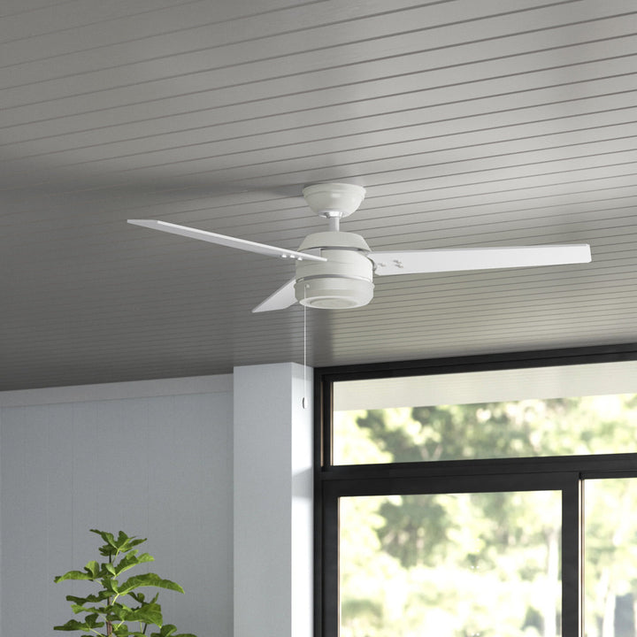 44" Cassius 3 - Blade Outdoor Standard Ceiling Fan with Pull Chain Hunter Fan Finish: Fresh White