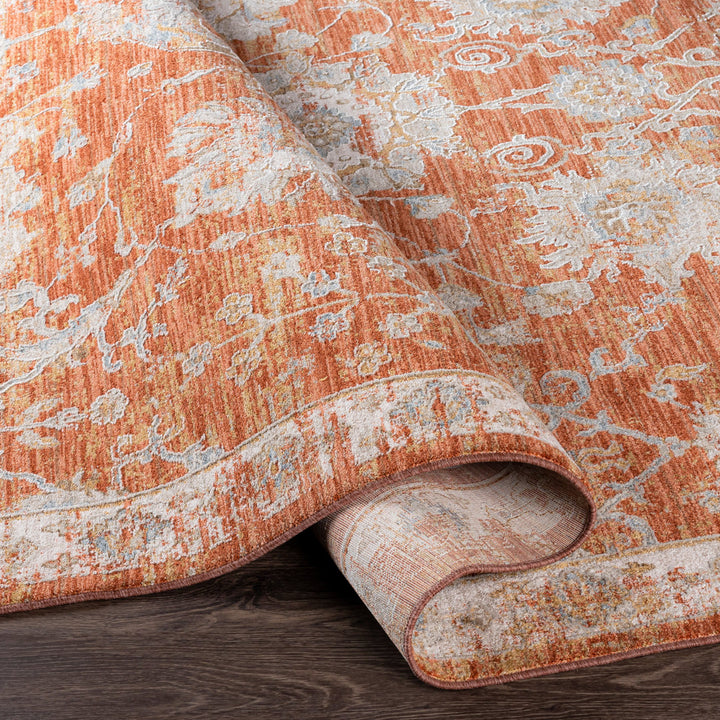 Conlan Oriental Burnt Orange Area Rug Birch Lane™ Rug Size: Rectangle 7'10" x 10'3"