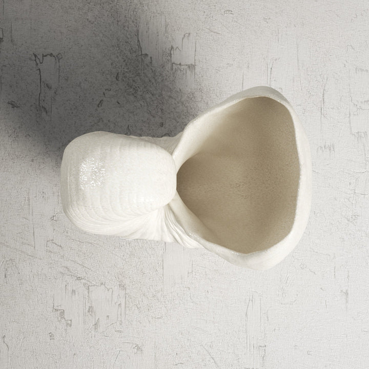 Lakefield Shell Sculpture Birch Lane™