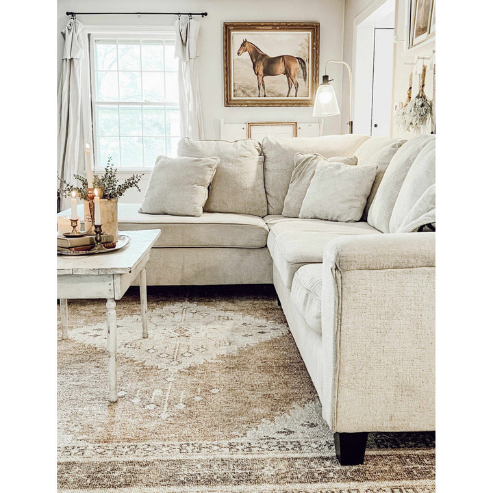 Albar Moroccan Machine Washable Brown Area Rug Foundry Select Rug Size: Rectangle 7'10" x 10'