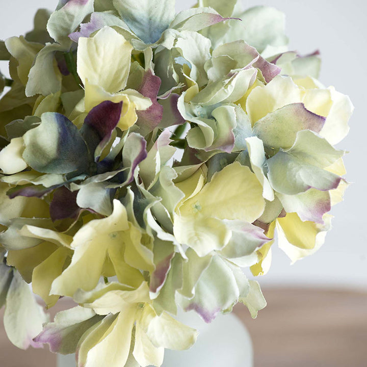 Hydrangea Stem Lark Manor™ Flower Color: Blue