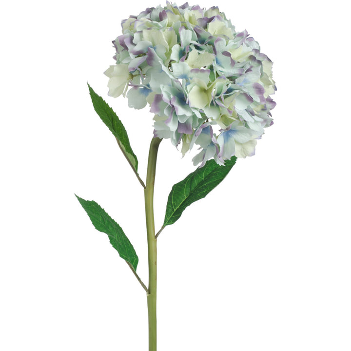 Hydrangea Stem Lark Manor™ Flower Color: Blue