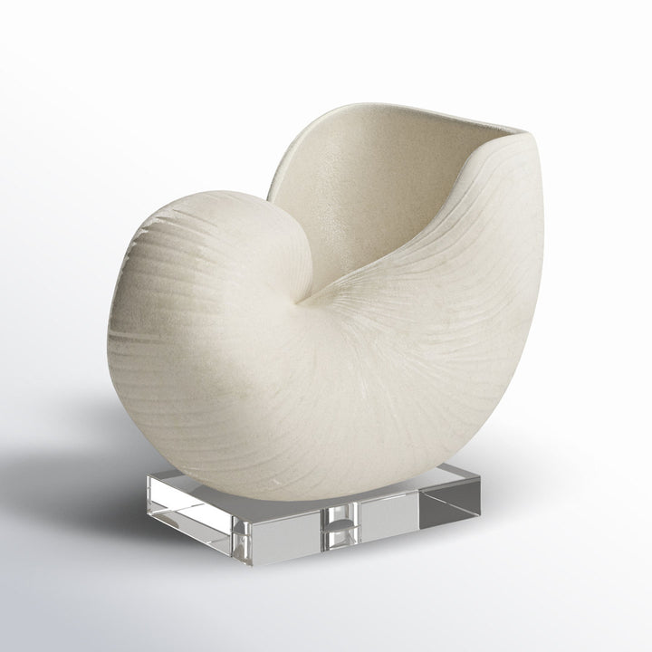 Lakefield Shell Sculpture Birch Lane™