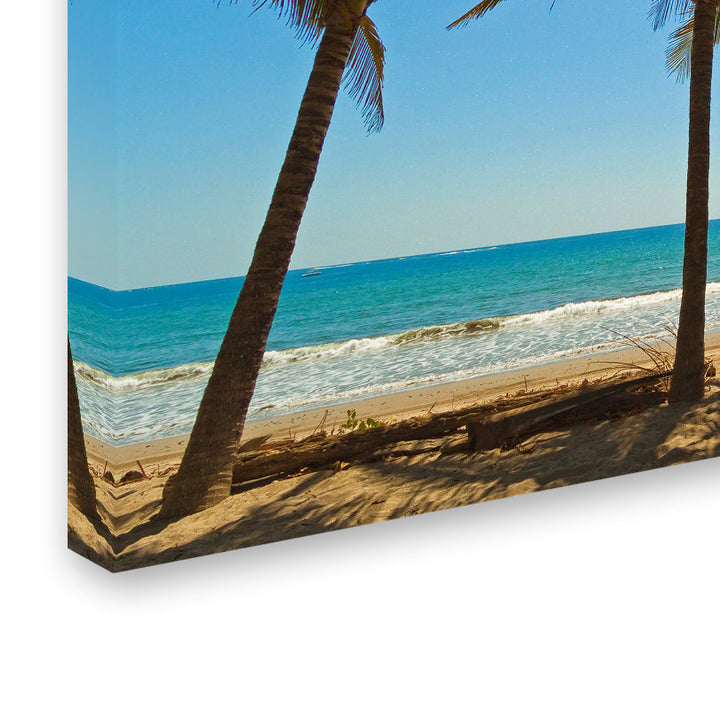 'Palm Trees 2' Photographic Print on Wrapped Canvas Trademark Fine Art Size: 30" H x 47" W
