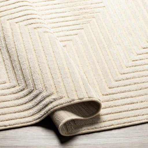 Kingston Kaleidoscope Machine Woven Rug