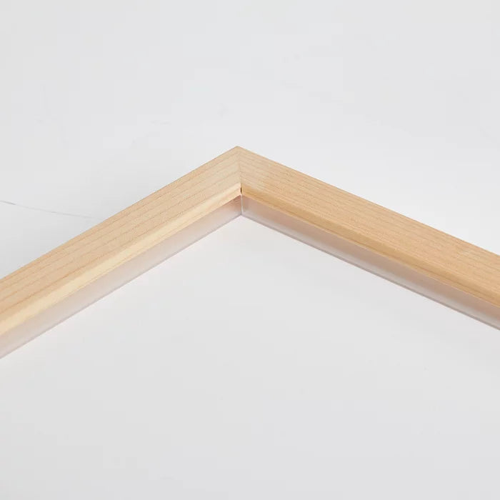 Palm Leaf III Art Print