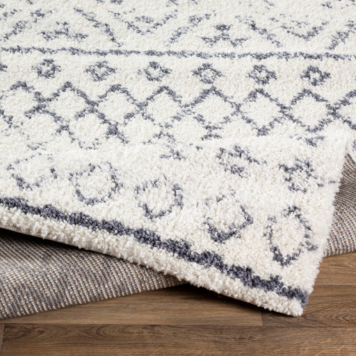 Moroccan Scroll MRS-2301 Machine Woven Rug