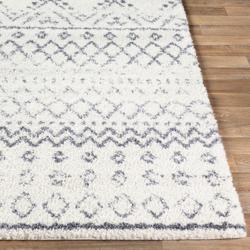 Moroccan Scroll MRS-2301 Machine Woven Rug