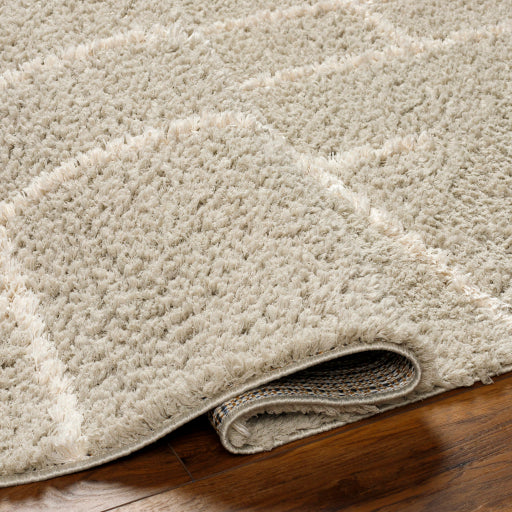 Maryland Splendor Shaggy Mat
