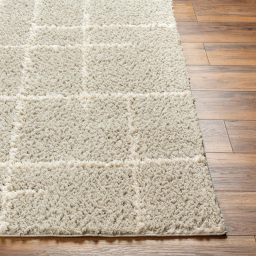 Maryland Splendor Shaggy Mat