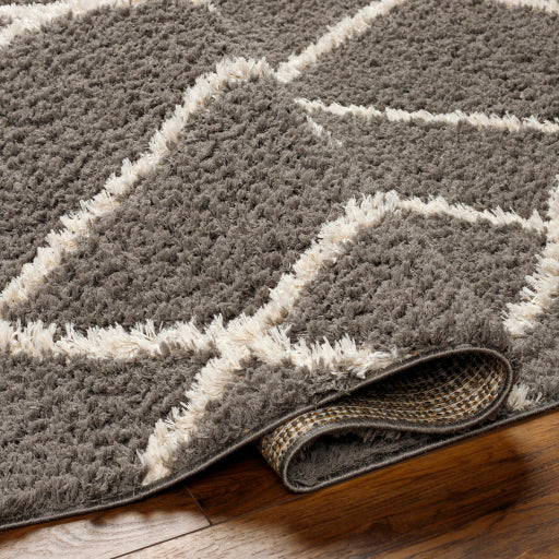 Maryland Shimmer Machine Woven Shag Rug