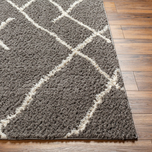 Maryland Shimmer Machine Woven Shag Rug