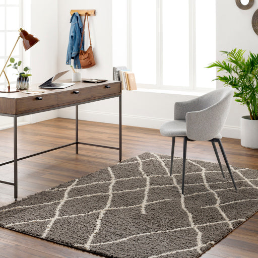 Maryland Shimmer Machine Woven Shag Rug
